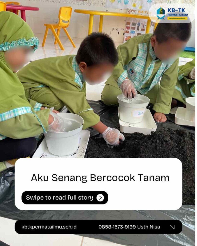 “Anak-anak KB Permata Ilmu belajar menanam sawi dengan gembira 🌱✨, mengenal tanaman sebagai ciptaan Allah yang bermanfaat, sekaligus belajar bersyukur dengan mengucapkan kalimat thayyibah Alhamdulillah.” Kegiatan ini melatih motorik, menumbuhkan cinta lingkungan, dan membiasakan anak untuk belajar Islami sejak dini.